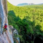 Experience en falaise – nous avons besoin de vous !