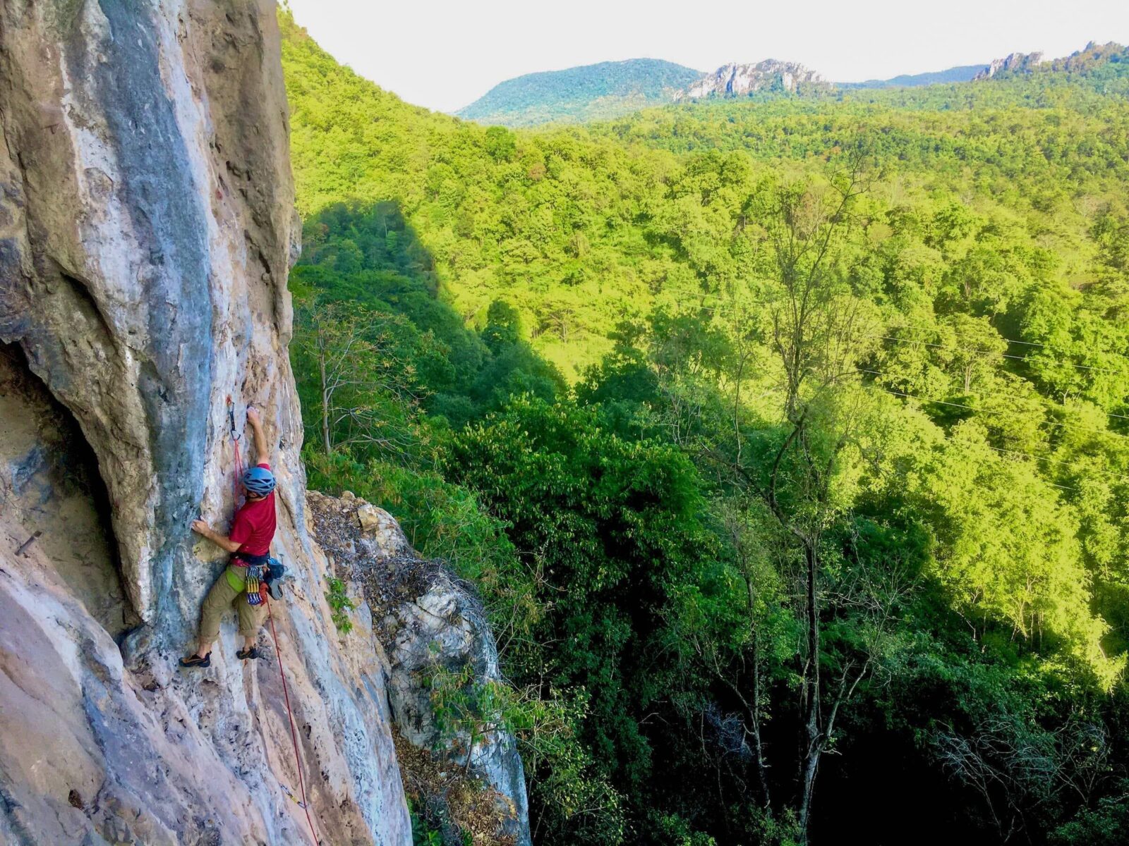 Experience en falaise – nous avons besoin de vous !
