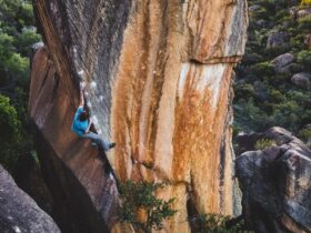 Vidéo – Giuliano Cameroni dans un HighBall qui donne le vertige !
