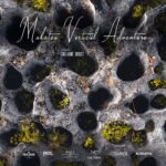 Film – Makatea Aventure Vertical