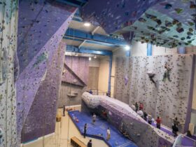 Altissimo Grabels – Infos, tarifs, avis et accès salle escalade Montpellier, 34790 Grabels