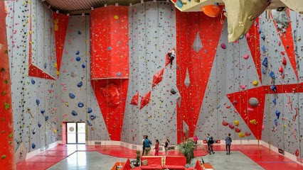 Altissimo Lille – Infos, tarifs, avis et accès salle escalade de voie, 59160 Lomme