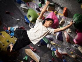 Les 5 meilleures vidéos de Tomoa Narasaki