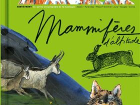 Livre – Là-haut, mammifères d’altitude