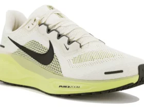 Test et avis Nike Pegasus 41 : la légende du running modernisée