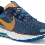 Test et avis Nike Pegasus Trail 5 : la chaussure trail polyvalente de Nike
