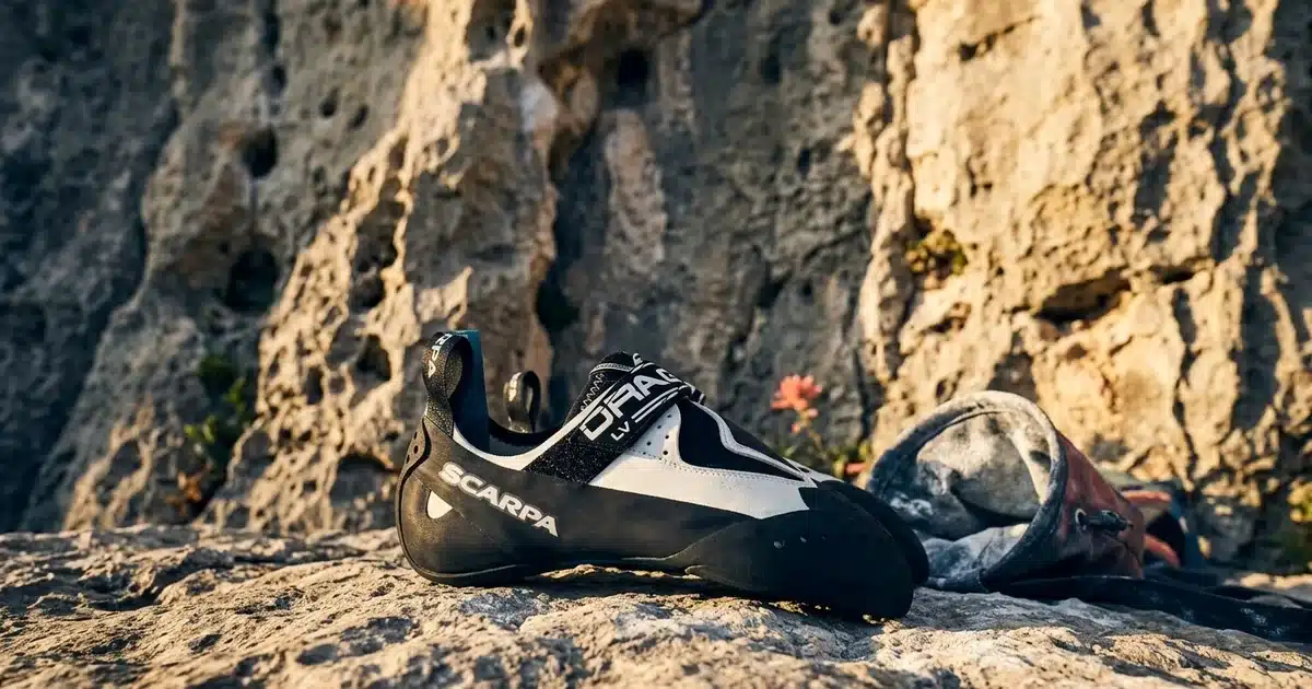 Scarpa Drago LV