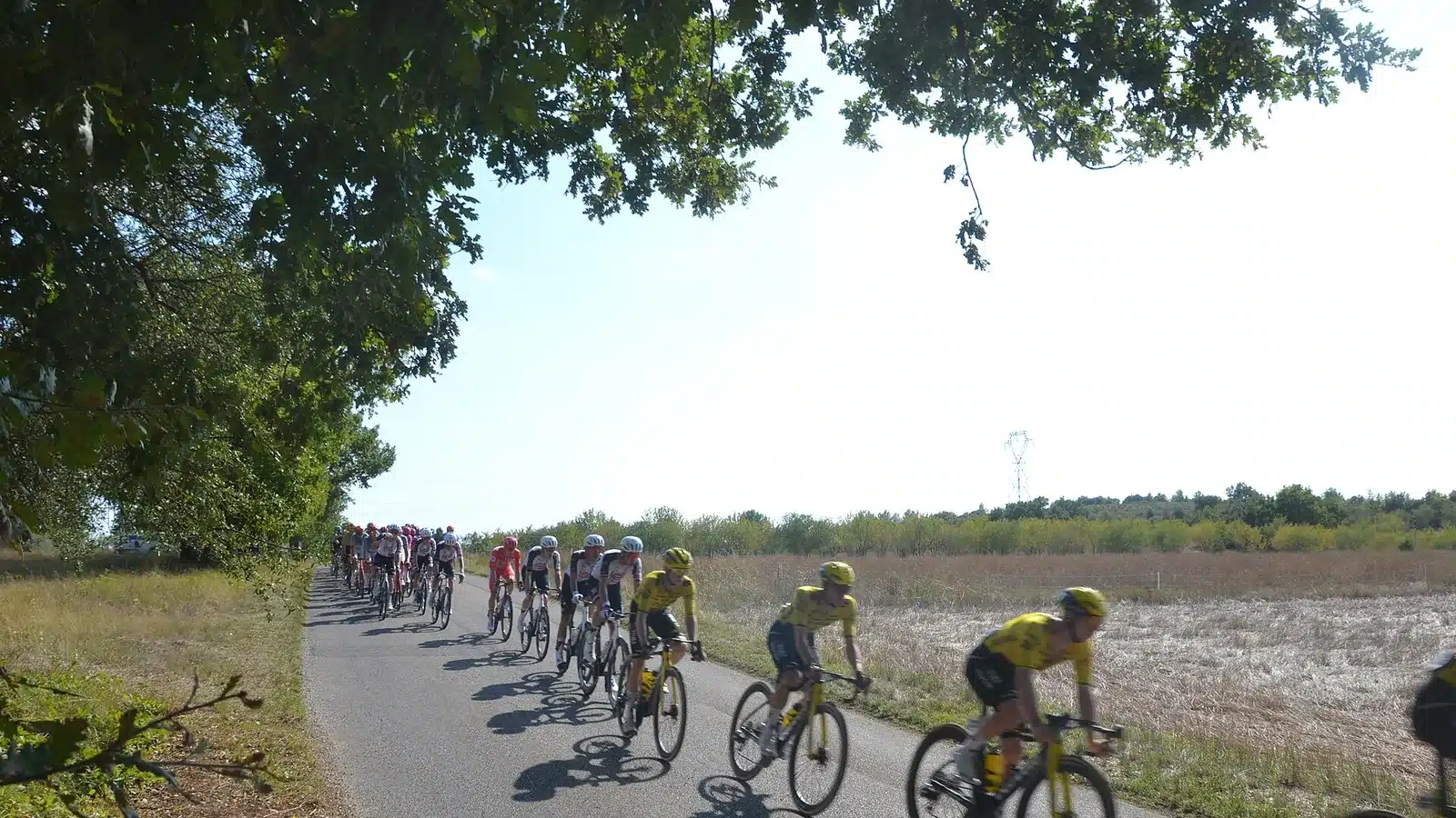 Vuelta, étape 5 : Brennan gagne une deuxième fois en cinq jours